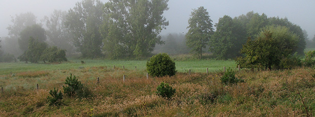 Ulrich von Papen | Psychologischer Psychotherapeut | Dipl.-Psychologe | Barbarossastraße 36 | 10779 Berlin | Foto: Landschaft in Brandenburg