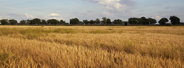 Ulrich von Papen | Psychologischer Psychotherapeut | Dipl.-Psychologe | Barbarossastraße 36 | 10779 Berlin | Foto: Brandenburgische Landschaft